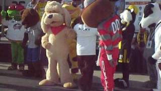 Mascots dancing to Michael Jackson