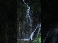 京都・天ヶ瀬吊橋と小さな滝(2018年・手振れ注意) #shorts #kyoto #japan