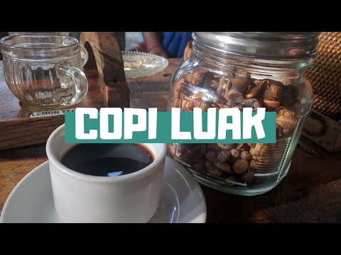 Kopi Luwak, I tasted the most expensive coffee in the world