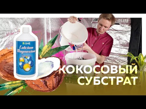 Видео: Как да готвя скариди в кокосови люспи