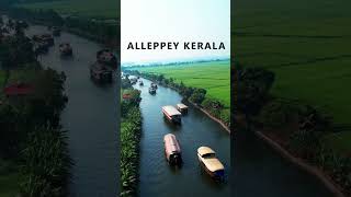 boat houses in Alleppey, Kerala, India.