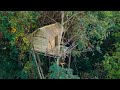 Amazing girl build the most beautiful bamboo tree house
