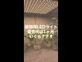 植物用LEDライト、1ヶ月の電気代はいくら？？#shorts #水耕栽培 #家庭菜園 #ハイドロカルチャー #ledライト #電気代