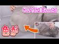 【あおちゃん】シャンプーでこんなに色が変わるなんて！アラブの石油王が飼ってる猫はきっとこんな感じ、猫の爪はこんなに簡単に出せる！もう爪切りでまごつかない【ブリティッシュLH】