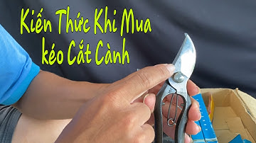 Kiến Thức Khi Mua Kéo Cắt Cành Bonsai.
