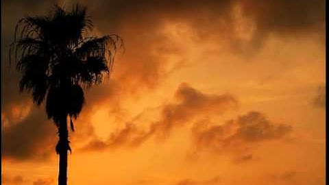 سورة النبإ - الشيخ سعود الشريم