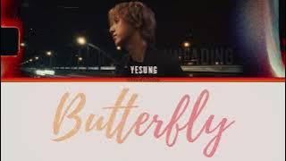 YESUNG 'Butterfly' Lyrics (예성 ‘Butterfly’ 가사) Eng/Rom/Han