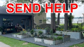 WIFE TAKES OVER AND BUILDS GARDEN
