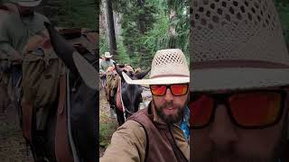 Hiking isnt all that bad horse hiking mules adventure bronc pct