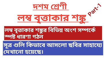 Right Circular Cone Class 10 WBBSE || Koshe Dekhi 16 Part 1 ||  লম্ব বৃত্তাকার শঙ্কু  Part 1