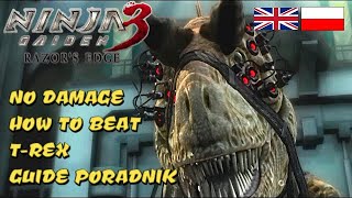 NINJA GAIDEN MASTER COLLECTION [NO DAMAGE - NG3] HOW TO BEAT T-REX GUIDE PORADNIK