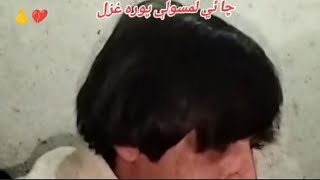 Cha ya lamsawale poshto khaista gazaal new #پشتوغزل #trending #pashtopoetrycommunity #ghazale 