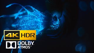 Prehistoric Planet - Bioluminescent Ammonites - 4K, Ultra Hd, Hdr