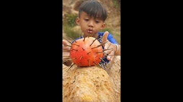 Survival Skills: SMART ideas and USEFUL In Forest With Single Mom #outdoors #survival #camping #fyp