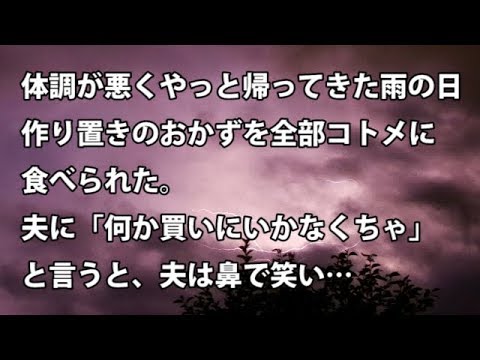 【修羅場　衝撃】体調が悪くやっと帰ってきた雨の日、作り置きのおかずを全部コトメに食べられた。夫に「何か買いにいかなくちゃ」と言うと、夫は鼻で笑い…　【修羅場・衝撃体験をお送りします】
