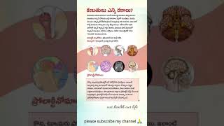 ఆరోగ్య చిట్కాలు health tips telugu telugu healthtips health shorts youtube ytshorts healthy