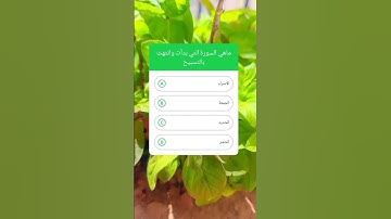 ماهي السورة التي بدأت وانتهت بالتسبيح ؟؟