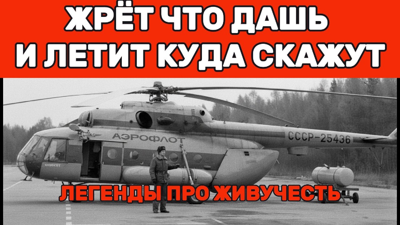 Ми-8: Чинится топором и проволокой. Летает в -50°C. Вот и весь секрет