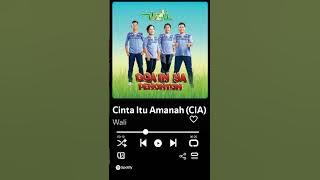 wali band _cinta itu amanah #liriklagu #liriklaguindo #spotify #music  #lirik #nostalgia