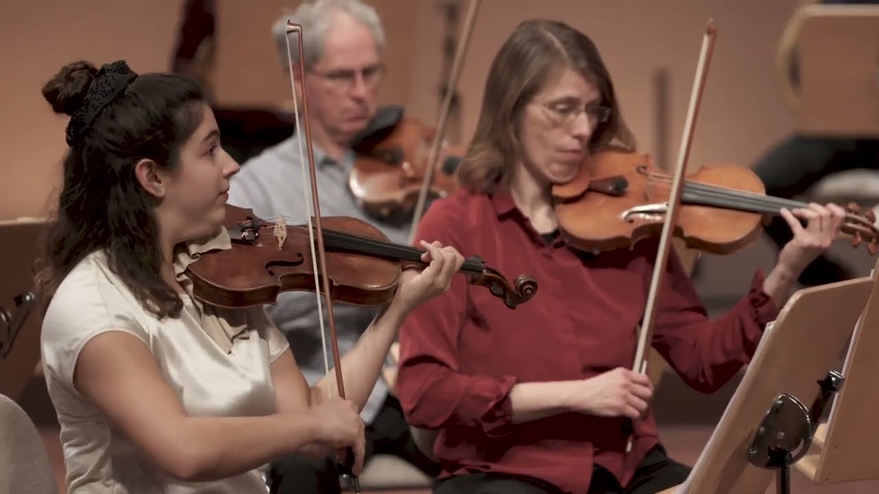 Beethoven 6, 1. Satz