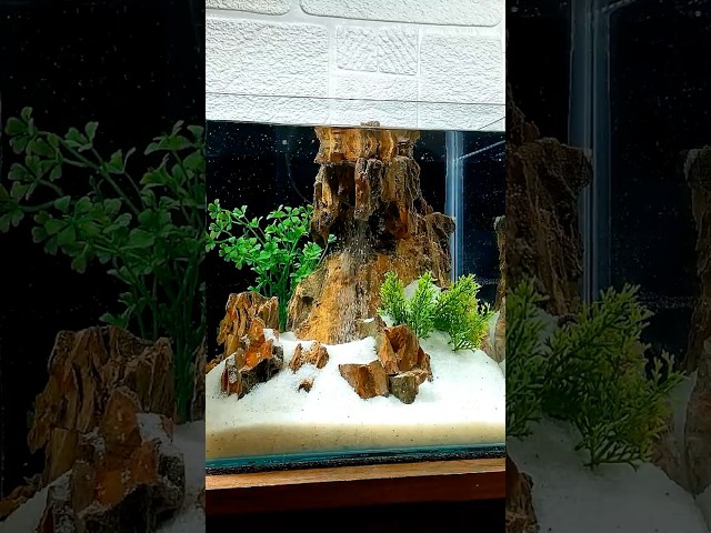 Easy DIY Aquarium Decor: Safe and Stunning! 3 sddefault