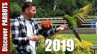 Think Parrots 2019 | Discover PARROTS by Discover PARROTS 3,189 views 4 years ago 6 minutes, 55 seconds