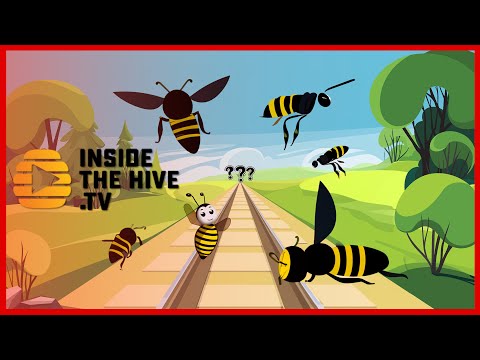 The Road to Sustainable Beekeeping