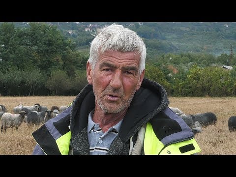 Žene više vole rudare nego ovčare