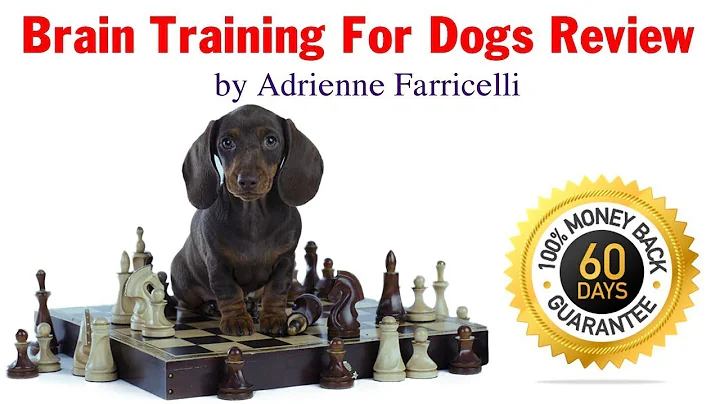 Zak George’s Dog Training Revolution - The Ultimate Puppy Training Video!  - Zak George