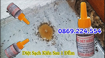 Thuốc diệt kiến sinh học diệt kiến tận gốc