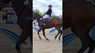 Equestrian Tournament Reitturnier