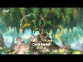 [라테일] Coral Forest / 산호의 숲 #라테일 #BGM #라테일BGM thumbnail