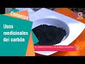 Usos medicinales del carbón | Consejos para usted