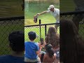 Australia zoo, Queensland #krunoi #travel