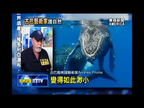 國際新聞 財經 古巴裔藝術家探索自然 呼籲環境保護