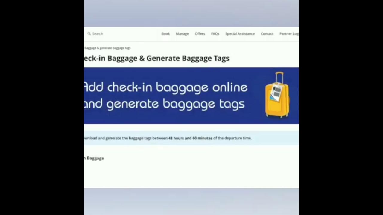 INDIGO How to generate baggage tags online. YouTube