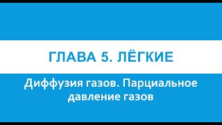 Физиология. Глава 5. Лёгкие. Диффузия газов. Парциальное давление газов