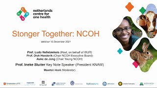 NCOH webinar - Stronger together