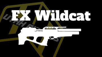 Getting Started With Your FX Wildcat