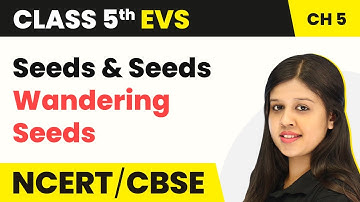 Class 5 EVS Chapter 5 | Seeds and Seeds - Wandering Seeds | NCERT Class 5 EVS