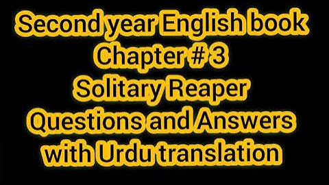 Lesson 3 // Solitary Reaper Questions and Answers // Ilyas Jamal