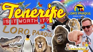 Tenerife 2020 Loro Parque - Is It Worth Visiting? All You Need To Know!