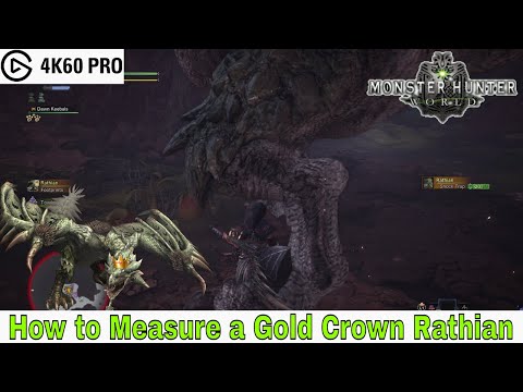 Monster Hunter: World - How to Measure a Gold Crown Rathian