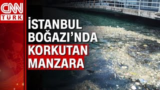 İstanbul Boğazında Kirlilik Seviyesi Yükseliyor