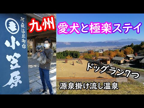 コスパ最高！超おすすめ [ペットとお出かけ][阿蘇][小笠原][九州][旅行][温泉][犬]