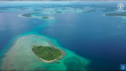 Innovation in the Small Island Developing States (SIDS)