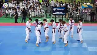 BTS idol taekwondo version