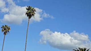 Partly Cloudy, NW Light Winds 3:40pm April 7, 2024