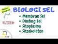 Membran sel dinding sel sitoplasma dan sitoskeleton  biologi sel part 2