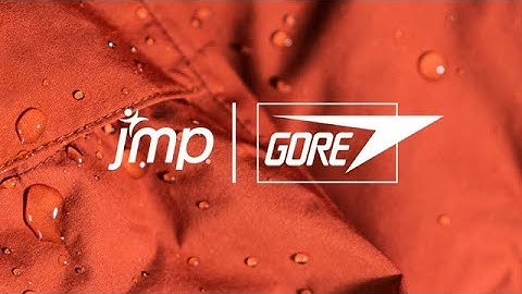 Developing Analytics Capacity at W.L. Gore & Associates